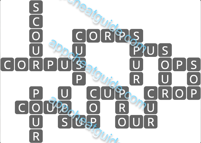 Wordscapes 10246 Up 3 6 Master answer image answer