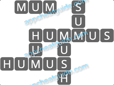 Wordscapes 12224 Erode 16 Master answer image answer