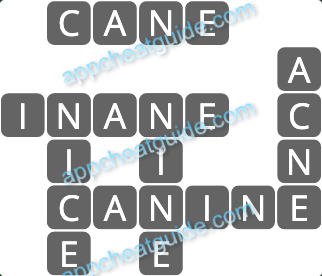 Wordscapes 14958 Sky 5 14 Master answer image answer